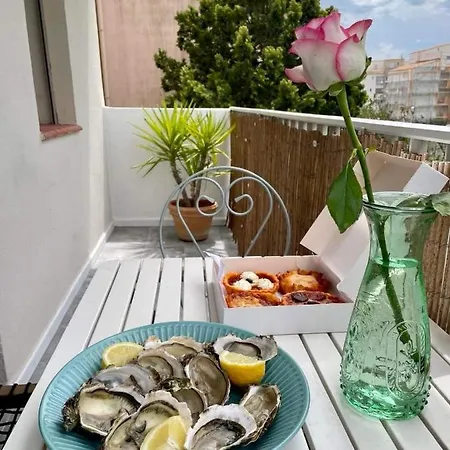Le Terre&mer A 150m Des Plages Et Du Port Appartement Agde